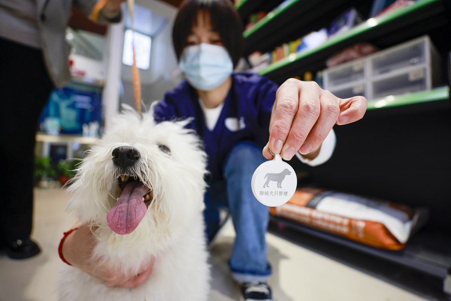 給愛(ài)犬上“戶(hù)口” 助力文明養(yǎng)犬(分離圖)(2604363)-20220421103655.JPG